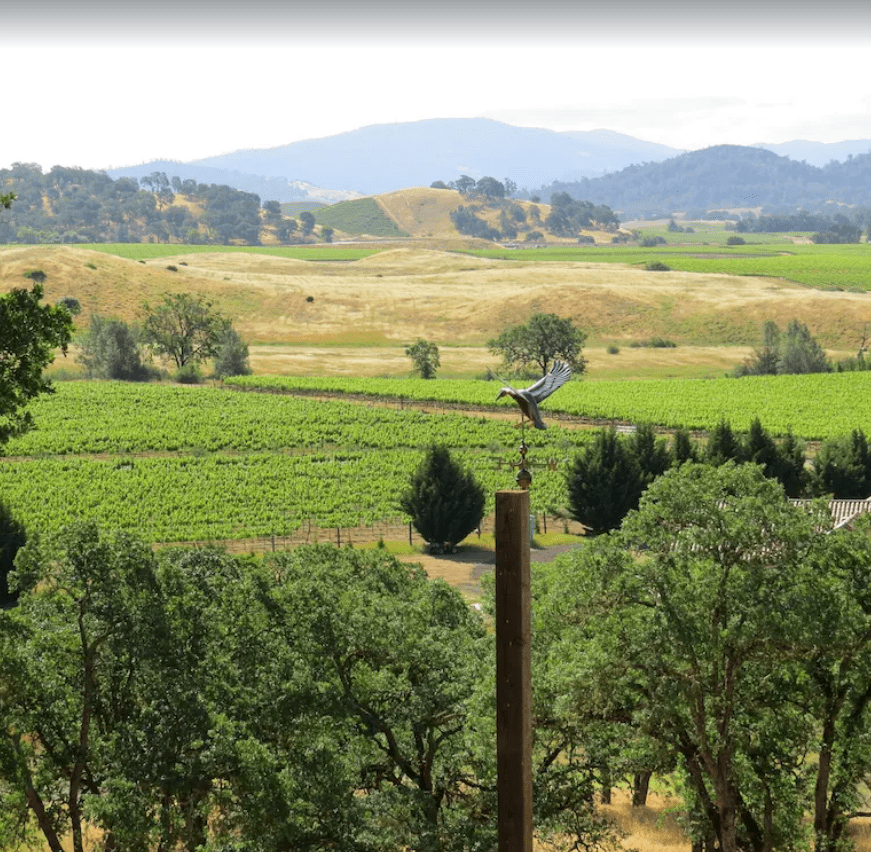 Outside View Tuscany Villa